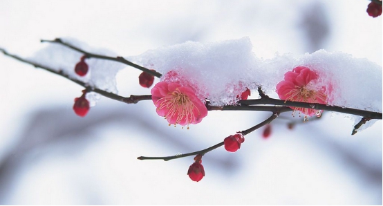 起重机配件雪景